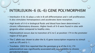 INTERLEUKIN-6 (IL-6) GENE POLYMORPHISM
• Interleukin-6 (IL-6) plays a role in B cell differentiation and t-cell proliferation.
It also stimulates hematopoiesis and accelerates bone resorption.
• High levels of il-6 in biological fluids and blood have been determined in
chronic inflammatory diseases. Higher levels of il-6 were found in sites with
gingivitis when compared to healthy sites.
• Polymorphism occurs due to transition of G to C at position 174 in the promoter
region of IL6 gene
• The C allele was shown to alter the IL-6 gene transcription response to stimuli
such as LPS and IL-1.
• Trevilatto 2003 first reported that the genotype g/g of the il-6_174
polymorphism was significantly associated with susceptibility to chronic
periodontal disease
 