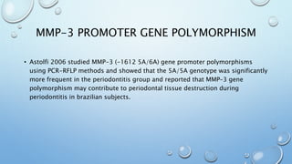 MMP-3 PROMOTER GENE POLYMORPHISM
• Astolfi 2006 studied MMP-3 (-1612 5A/6A) gene promoter polymorphisms
using PCR-RFLP methods and showed that the 5A/5A genotype was significantly
more frequent in the periodontitis group and reported that MMP-3 gene
polymorphism may contribute to periodontal tissue destruction during
periodontitis in brazilian subjects.
 