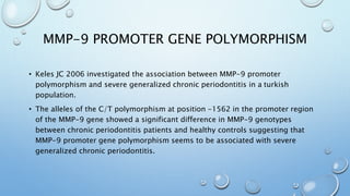 MMP-9 PROMOTER GENE POLYMORPHISM
• Keles JC 2006 investigated the association between MMP-9 promoter
polymorphism and severe generalized chronic periodontitis in a turkish
population.
• The alleles of the C/T polymorphism at position -1562 in the promoter region
of the MMP-9 gene showed a significant difference in MMP-9 genotypes
between chronic periodontitis patients and healthy controls suggesting that
MMP-9 promoter gene polymorphism seems to be associated with severe
generalized chronic periodontitis.
 