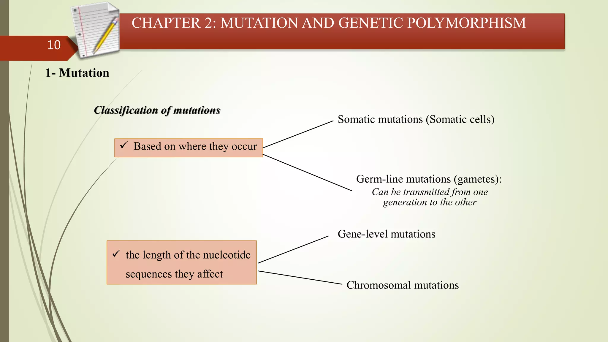 10
CHAPTER 2: MUTATION AND GENETIC POLYMORPHISM
1- Mutation
 Based on where they occur
 the length of the nucleotide
sequences they affect
Classification of mutations
Somatic mutations (Somatic cells)
Germ-line mutations (gametes):
Can be transmitted from one
generation to the other
Gene-level mutations
Chromosomal mutations
 
