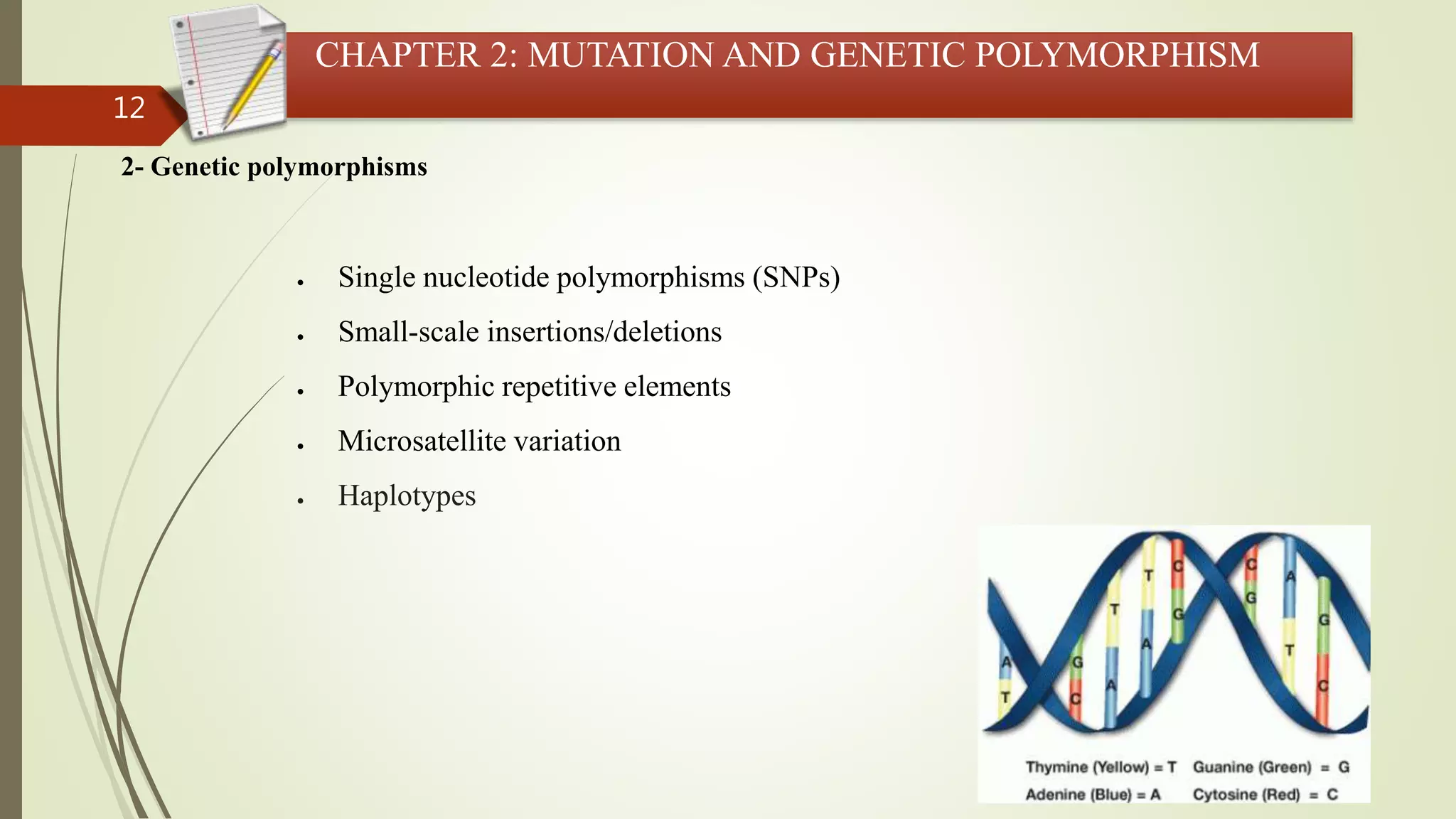 12
CHAPTER 2: MUTATION AND GENETIC POLYMORPHISM
2- Genetic polymorphisms
 Single nucleotide polymorphisms (SNPs)
 Small-scale insertions/deletions
 Polymorphic repetitive elements
 Microsatellite variation
 Haplotypes
 