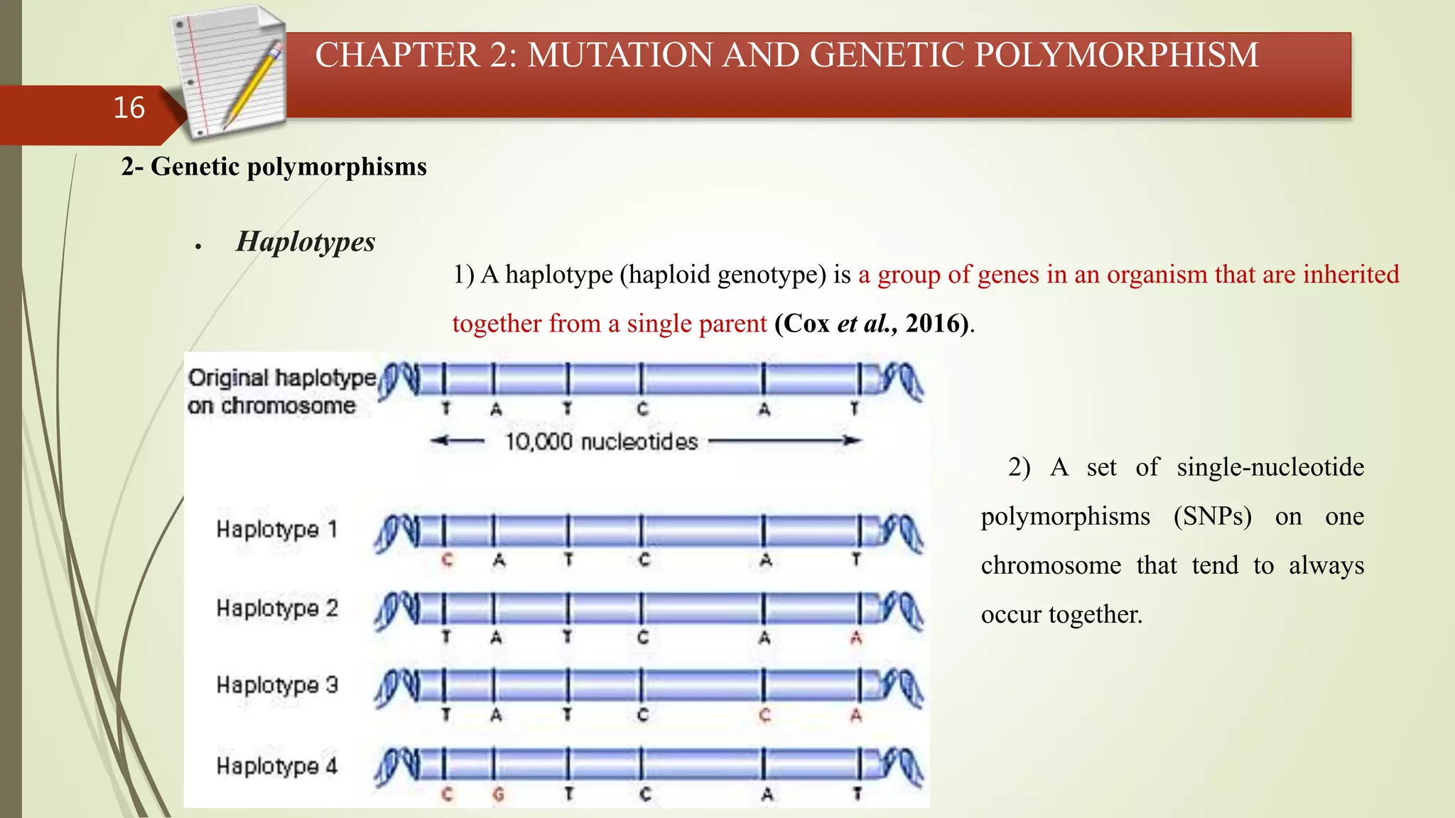 16
CHAPTER 2: MUTATION AND GENETIC POLYMORPHISM
2- Genetic polymorphisms
 Haplotypes
1) A haplotype (haploid genotype) is a group of genes in an organism that are inherited
together from a single parent (Cox et al., 2016).
2) A set of single-nucleotide
polymorphisms (SNPs) on one
chromosome that tend to always
occur together.
 