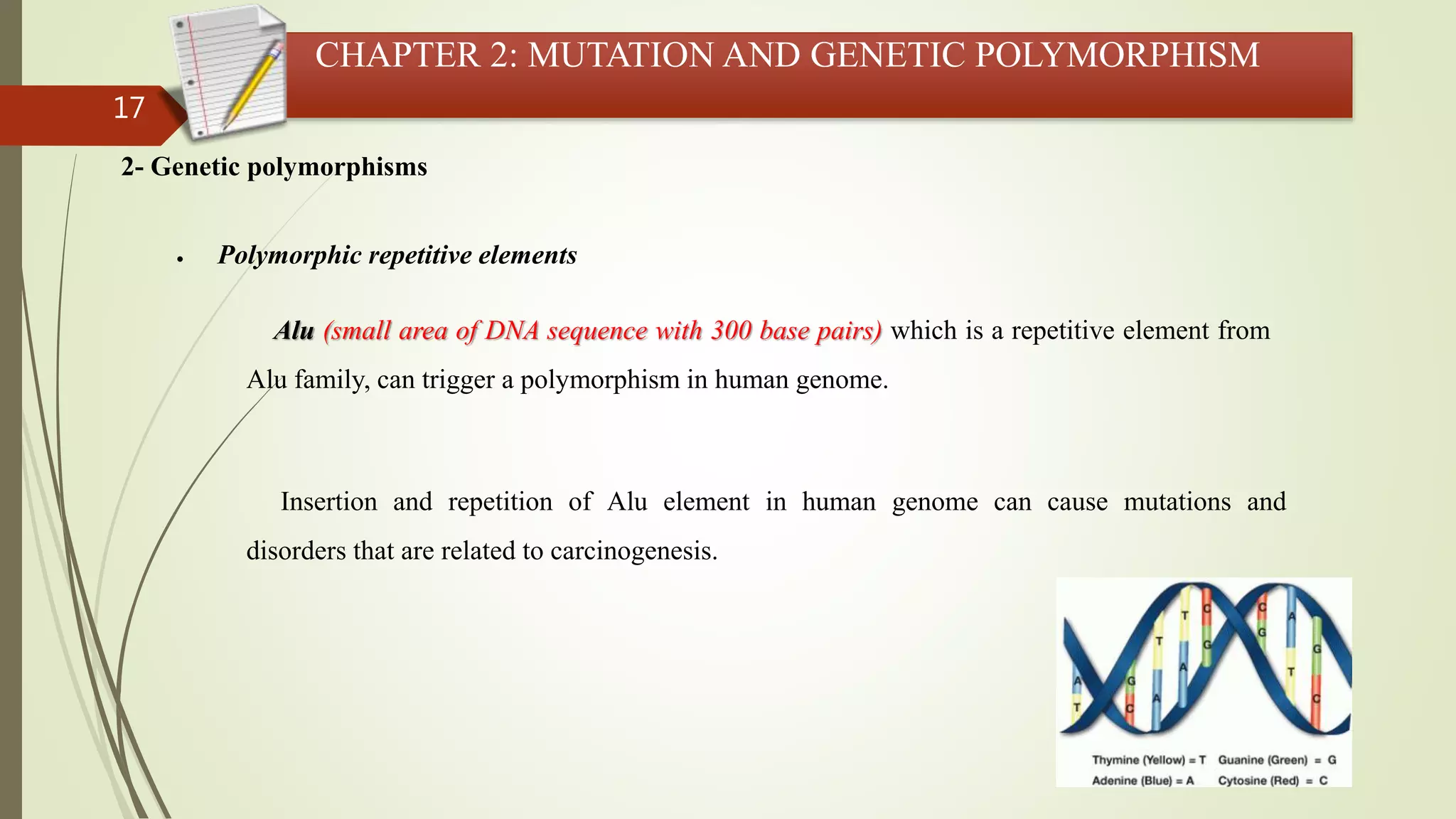 17
CHAPTER 2: MUTATION AND GENETIC POLYMORPHISM
2- Genetic polymorphisms
 Polymorphic repetitive elements
Alu (small area of DNA sequence with 300 base pairs) which is a repetitive element from
Alu family, can trigger a polymorphism in human genome.
Insertion and repetition of Alu element in human genome can cause mutations and
disorders that are related to carcinogenesis.
 