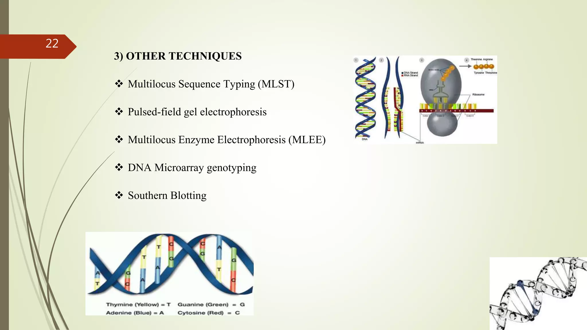 22
3) OTHER TECHNIQUES
 Multilocus Sequence Typing (MLST)
 Pulsed-field gel electrophoresis
 Multilocus Enzyme Electrophoresis (MLEE)
 DNA Microarray genotyping
 Southern Blotting
 