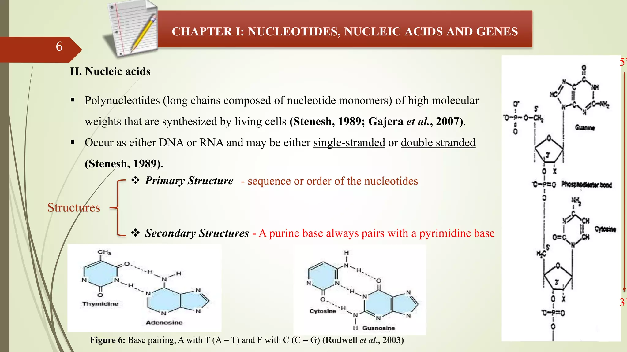 6
CHAPTER I: NUCLEOTIDES, NUCLEIC ACIDS AND GENES
II. Nucleic acids
 Polynucleotides (long chains composed of nucleotide monomers) of high molecular
weights that are synthesized by living cells (Stenesh, 1989; Gajera et al., 2007).
 Occur as either DNA or RNA and may be either single-stranded or double stranded
(Stenesh, 1989).
 Primary Structure - sequence or order of the nucleotides
 Secondary Structures
5’
3’
Figure 6: Base pairing, A with T (A = T) and F with C (C  G) (Rodwell et al., 2003)
Structures
- A purine base always pairs with a pyrimidine base
 