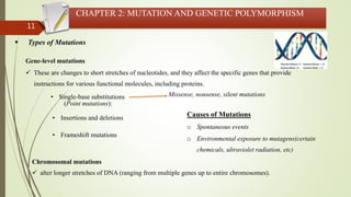 11
CHAPTER 2: MUTATION AND GENETIC POLYMORPHISM
 Types of Mutations
Gene-level mutations
 These are changes to short stretches of nucleotides, and they affect the specific genes that provide
instructions for various functional molecules, including proteins.
Chromosomal mutations
 alter longer stretches of DNA (ranging from multiple genes up to entire chromosomes).
• Single-base substitutions
(Point mutations):
Missense, nonsense, silent mutations
• Insertions and deletions
• Frameshift mutations
Causes of Mutations
o Spontaneous events
o Environmental exposure to mutagens(certain
chemicals, ultraviolet radiation, etc)
 