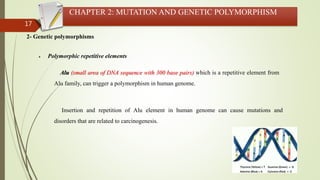 17
CHAPTER 2: MUTATION AND GENETIC POLYMORPHISM
2- Genetic polymorphisms
 Polymorphic repetitive elements
Alu (small area of DNA sequence with 300 base pairs) which is a repetitive element from
Alu family, can trigger a polymorphism in human genome.
Insertion and repetition of Alu element in human genome can cause mutations and
disorders that are related to carcinogenesis.
 