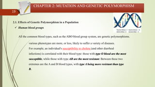 19
CHAPTER 2: MUTATION AND GENETIC POLYMORPHISM
2.1. Effects of Genetic Polymorphism in a Population
 Human blood groups
All the common blood types, such as the ABO blood group system, are genetic polymorphisms.
various phenotypes are more, or less, likely to suffer a variety of diseases.
For example, an individual's susceptibility to cholera (and other diarrheal
infections) is correlated with their blood type: those with type O blood are the most
susceptible, while those with type AB are the most resistant. Between these two
extremes are the A and B blood types, with type A being more resistant than type
B.
 