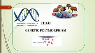 2
TITLE:
GENETIC POLYMORPHISM
 