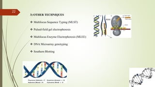 22
3) OTHER TECHNIQUES
 Multilocus Sequence Typing (MLST)
 Pulsed-field gel electrophoresis
 Multilocus Enzyme Electrophoresis (MLEE)
 DNA Microarray genotyping
 Southern Blotting
 