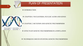 3
 CHAPTER I: NUCLEOTIDES, NUCLEIC ACIDS AND GENES
 INTRODUCTION
 CHAPTER 2: MUTATION AND GENETIC POLYMORPHISM
 TECHNIQUES USED IN STUDYING GENETIC POLYMORPHISM
 EFFECTS OF GENETIC POLYMORPHISM IN A POPULATION
PLAN OF PRESENTATION
 