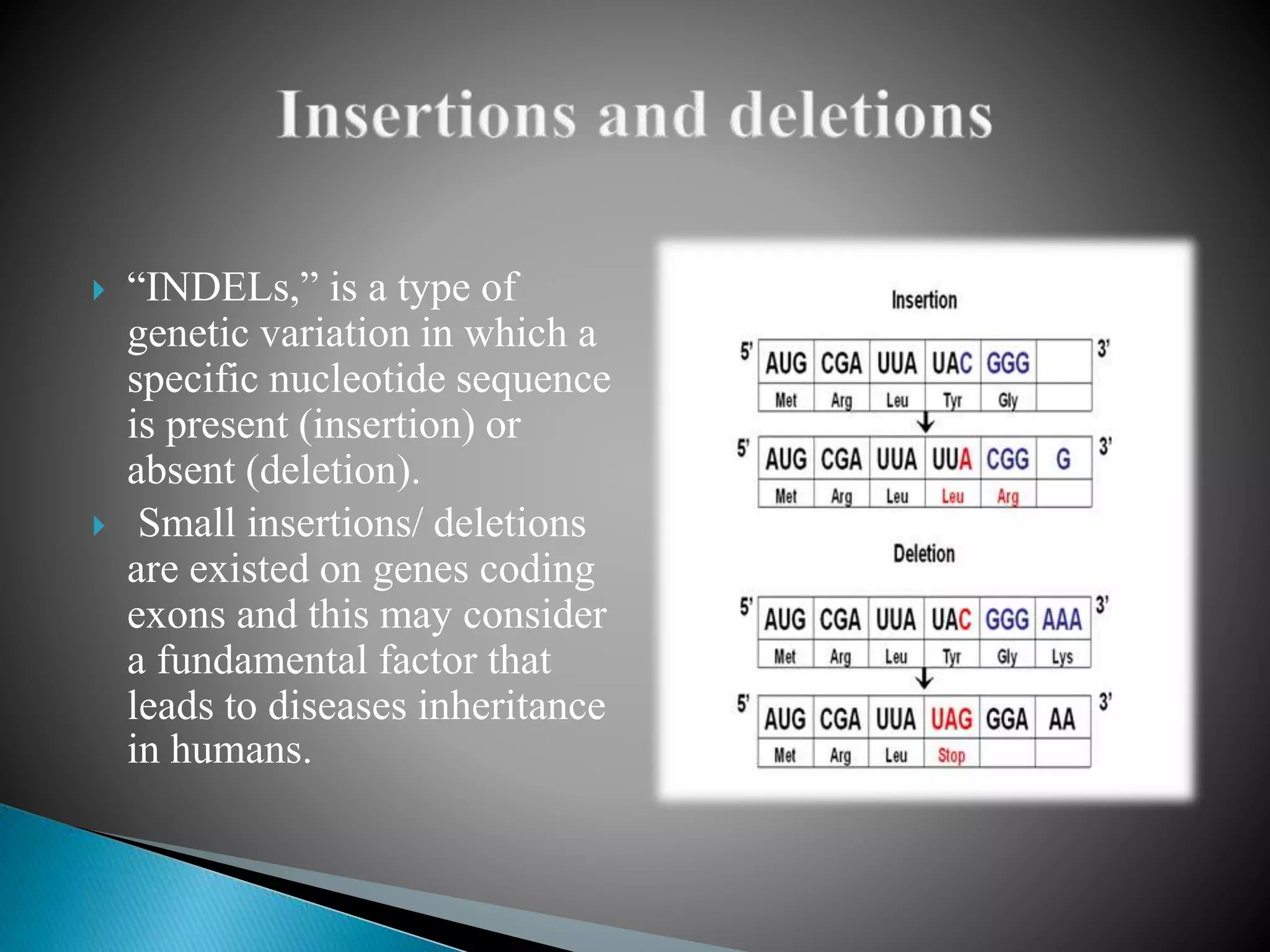  “INDELs,” is a type of
genetic variation in which a
specific nucleotide sequence
is present (insertion) or
absent (deletion).
 Small insertions/ deletions
are existed on genes coding
exons and this may consider
a fundamental factor that
leads to diseases inheritance
in humans.
 