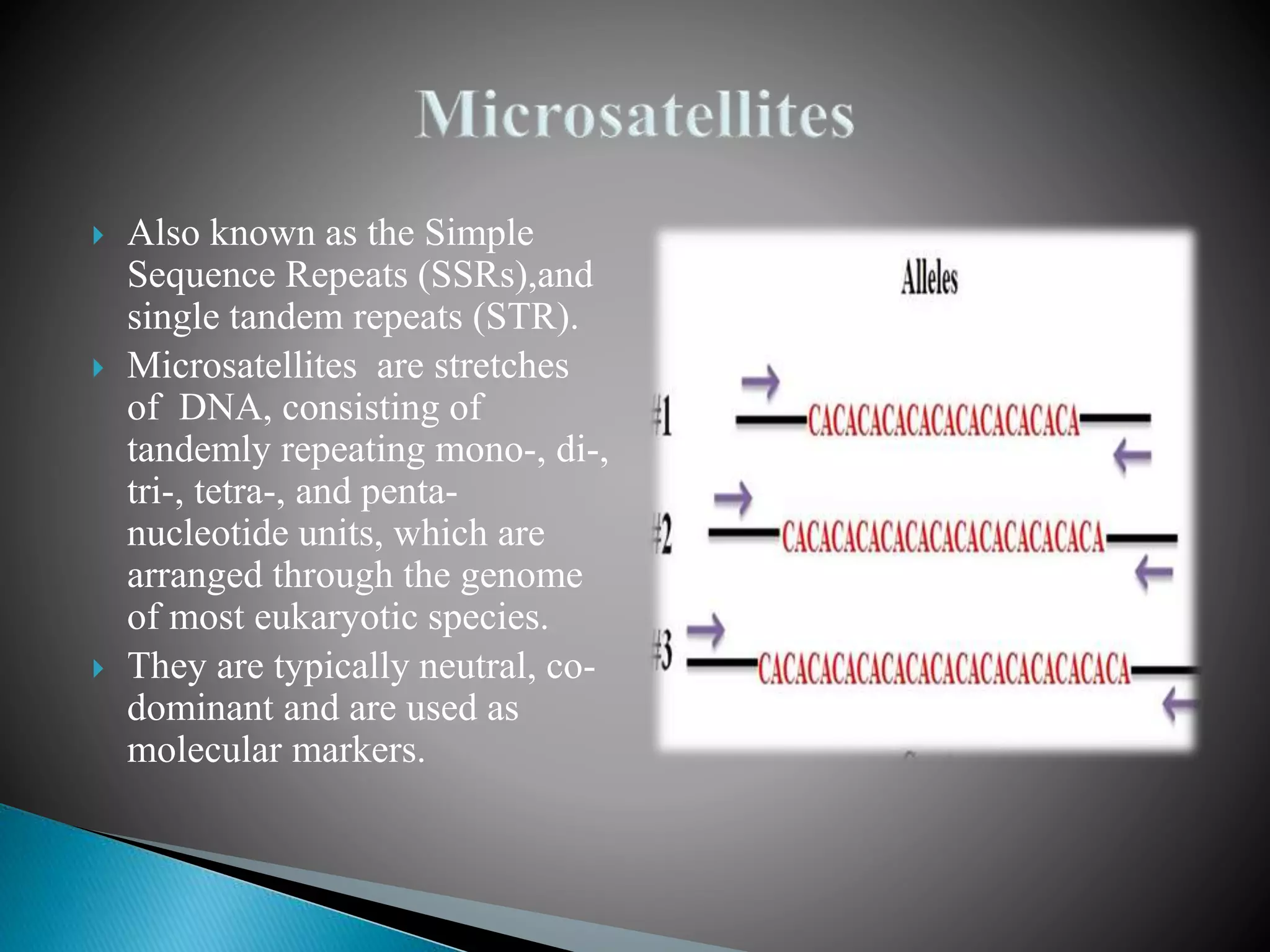  Also known as the Simple
Sequence Repeats (SSRs),and
single tandem repeats (STR).
 Microsatellites are stretches
of DNA, consisting of
tandemly repeating mono-, di-,
tri-, tetra-, and penta-
nucleotide units, which are
arranged through the genome
of most eukaryotic species.
 They are typically neutral, co-
dominant and are used as
molecular markers.
 