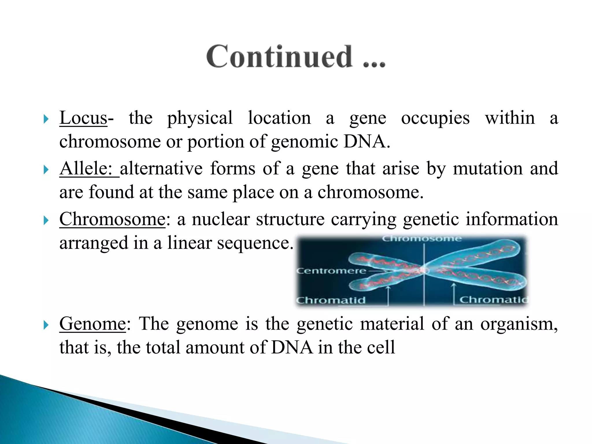  Locus- the physical location a gene occupies within a
chromosome or portion of genomic DNA.
 Allele: alternative forms of a gene that arise by mutation and
are found at the same place on a chromosome.
 Chromosome: a nuclear structure carrying genetic information
arranged in a linear sequence.
 Genome: The genome is the genetic material of an organism,
that is, the total amount of DNA in the cell
 
