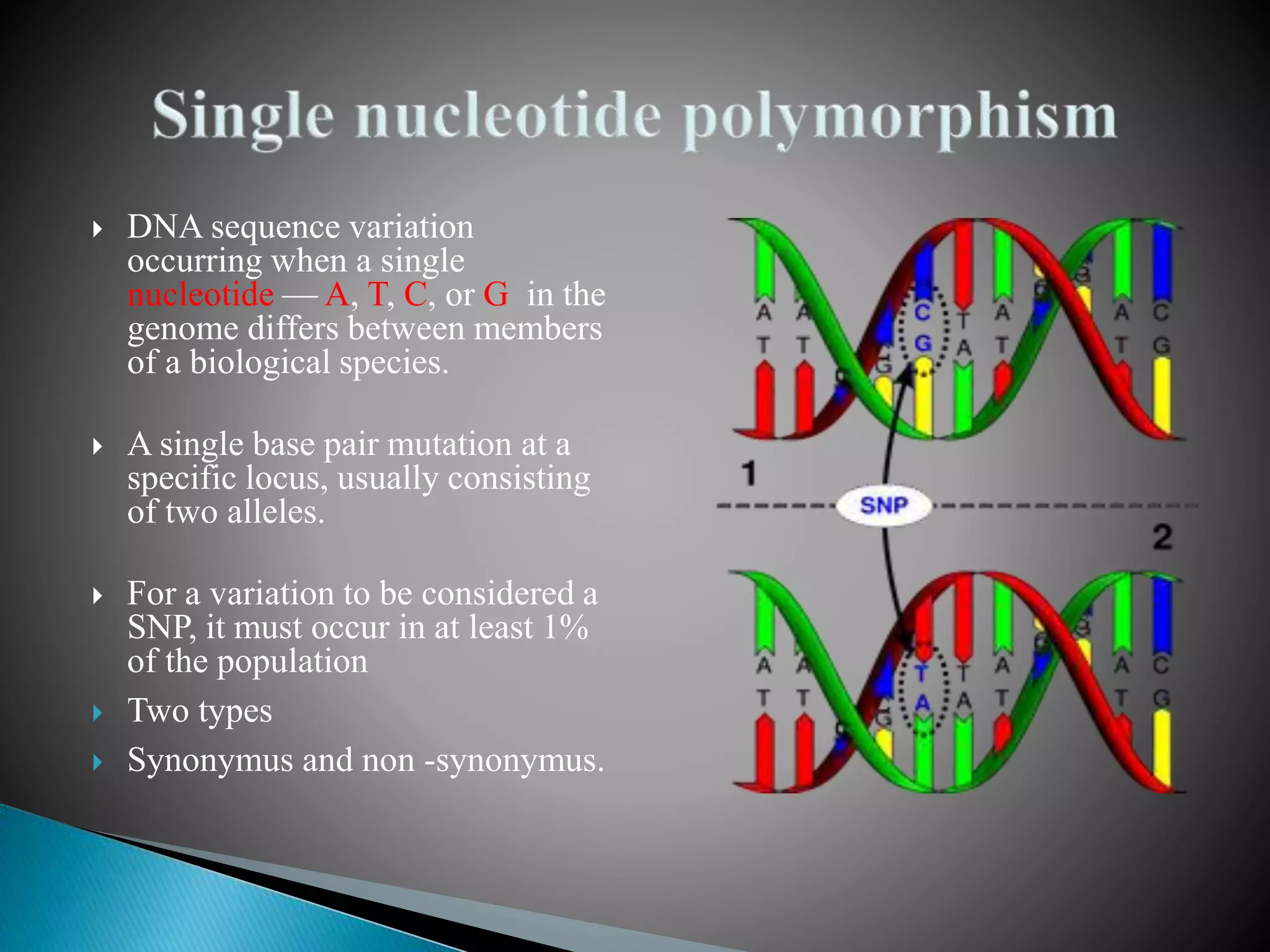  DNA sequence variation
occurring when a single
nucleotide — A, T, C, or G in the
genome differs between members
of a biological species.
 A single base pair mutation at a
specific locus, usually consisting
of two alleles.
 For a variation to be considered a
SNP, it must occur in at least 1%
of the population
 Two types
 Synonymus and non -synonymus.
 