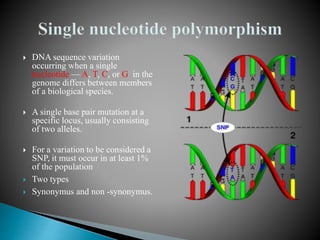 Genetic polymorphism | PPTX