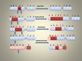 Genetic polymorphism and It's Applications | PDF