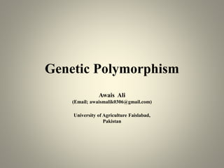 Genetic Polymorphism
Awais Ali
(Email; awaismalik0306@gmail.com)
University of Agriculture Faislabad,
Pakistan
 