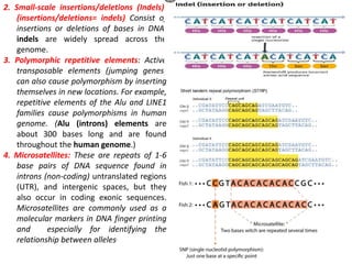 Genetic polymorphism | PPTX