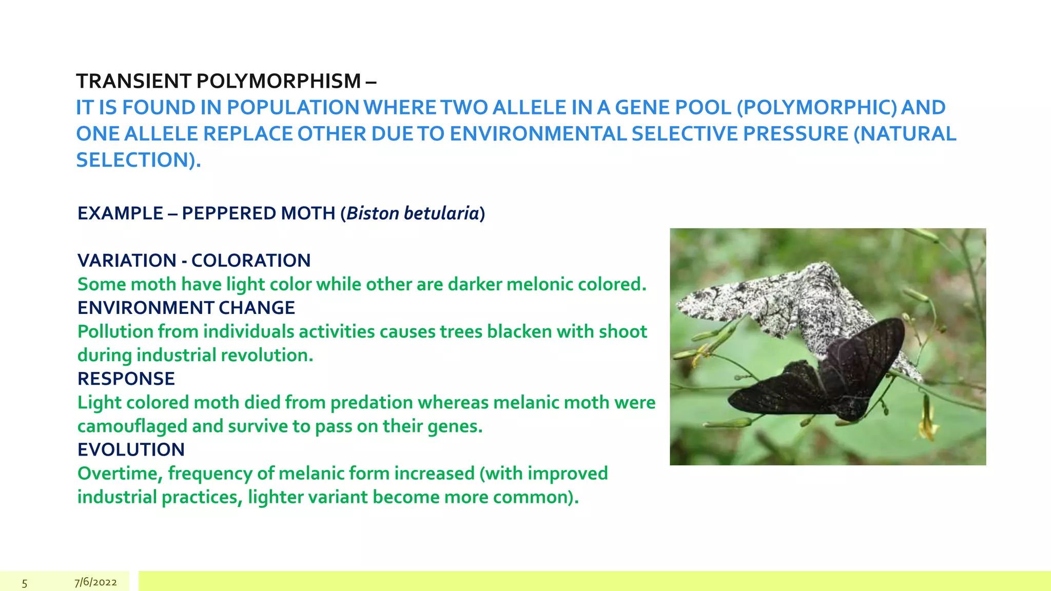 5 7/6/2022
TRANSIENT POLYMORPHISM –
IT IS FOUND IN POPULATIONWHERETWO ALLELE IN A GENE POOL (POLYMORPHIC)AND
ONE ALLELE REPLACE OTHER DUETO ENVIRONMENTAL SELECTIVE PRESSURE (NATURAL
SELECTION).
EXAMPLE – PEPPERED MOTH (Biston betularia)
VARIATION - COLORATION
Some moth have light color while other are darker melonic colored.
ENVIRONMENT CHANGE
Pollution from individuals activities causes trees blacken with shoot
during industrial revolution.
RESPONSE
Light colored moth died from predation whereas melanic moth were
camouflaged and survive to pass on their genes.
EVOLUTION
Overtime, frequency of melanic form increased (with improved
industrial practices, lighter variant become more common).
 