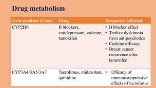 Drug metabolism
Gene product (Gene) Drug Responses Affected
CYP2D6 B blockers,
antidepressant, codeine,
tamoxifen
• B blocker effect
• Tardive dyskinesia
from antipsychotics
• Codeine efficacy
• Breast cancer
recurrence after
tamoxifen
CYP3A4/3A5/3A7 Tacrolimus, midazolam,
quinidine
• Efficacy of
immunosuppressive
effects of tacrolimus
 