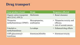 Drug transport
Gene product (Gene) Drugs Responses affected
Organic cation transporter
(SLC22A2, OTC2)
Metformin • Renal clearance
Thiopurine
methyltransferase (TPMT)
Mercaptopurine,
azathioprine
• Thiopurine toxicity and
efficacy,
• risk of second cancers
Catechol-o-
methyltransferase
Levodopa • Enhanced drug effects
UDP-glucuronosyl-
transferase
Irinotecan,bilirubin • Irinotecan toxicity
 