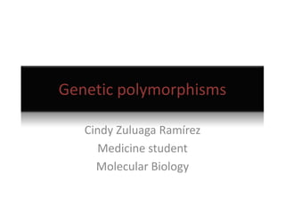 Genetic polymorphisms CindyZuluaga Ramírez Medicine student Molecular Biology 