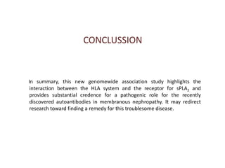 CONCLUSSION      In summary, this new genomewide association study highlights the interaction between the HLA system and the receptor for sPLA2 and provides substantial credence for a pathogenic role for the recently discovered autoantibodies in membranous nephropathy. It may redirect research toward finding a remedy for this troublesome disease.