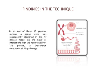 FINDINGS IN THE TECHNIQUE      In six out of these 15 genomic regions, a causal gene was subsequently identified in the fly disease model on the basis of interactions with the neurotoxicity of Tau protein, a well-known constituent of AD pathology.