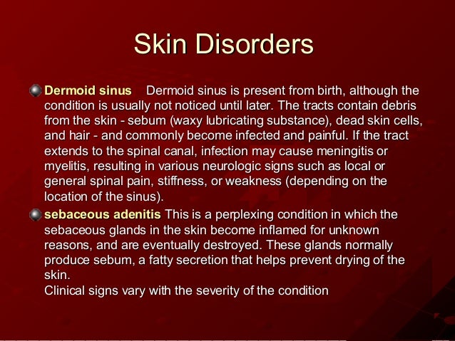 shih tzu genetic problems genetic disorders shih tzu shih tzu genetic problems genetic disorders shih tzu