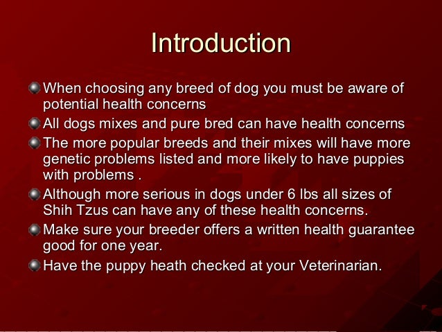 shih tzu disorders genetic disorders shih tzu shih tzu disorders genetic disorders shih tzu