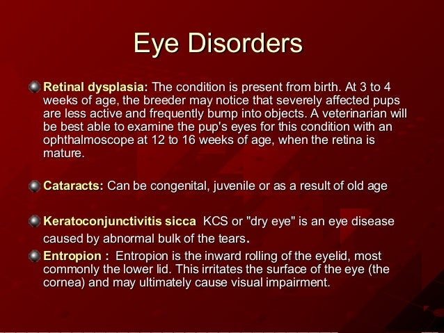 shih tzu genetic problems genetic disorders shih tzu shih tzu genetic problems genetic disorders shih tzu