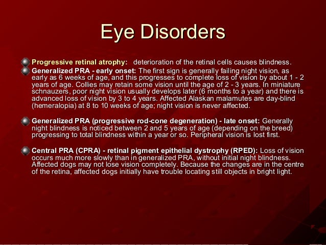 shih tzu disorders genetic disorders shih tzu shih tzu disorders genetic disorders shih tzu