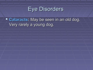 Eye Disorders
 Cataracts: May be seen in an old dog.
 Very rarely a young dog.
 
