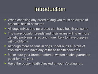 Introduction
►   When choosing any breed of dog you must be aware of
    potential health concerns
►   All dogs mixes and ...