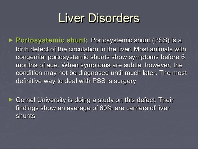 liver shunt symptoms in yorkies genetic disorders terrier liver shunt symptoms in yorkies genetic disorders terrier