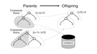 Genetic programming | PPTX