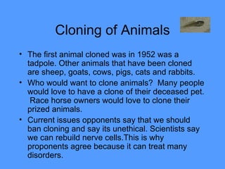 Cloning of Animals The first animal cloned was in 1952 was a tadpole. Other animals that have been cloned are sheep, goats, cows, pigs, cats and rabbits. Who would want to clone animals?  Many people would love to have a clone of their deceased pet.  Race horse owners would love to clone their prized animals.  Current issues opponents say that we should ban cloning and say its unethical. Scientists say we can rebuild nerve cells.This is why proponents agree because it can treat many disorders.  