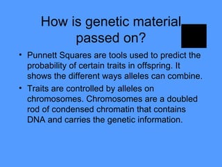 How is genetic material passed on? Punnett Squares are tools used to predict the probability of certain traits in offspring. It shows the different ways alleles can combine.  Traits are controlled by alleles on chromosomes. Chromosomes are a doubled rod of condensed chromatin that contains DNA and carries the genetic information. 