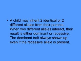 A child may inherit 2 identical or 2 different alleles from their parents. When two different alleles interact, their result is either dominant or recessive. The dominant trait always shows up even if the recessive allele is present.  