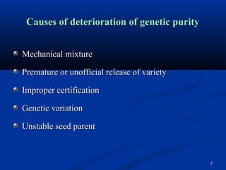 Genetic purity testing