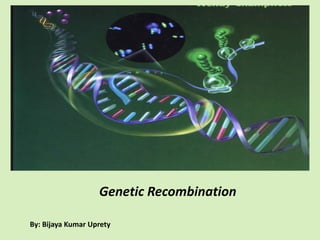 Genetic Recombination 
By: Bijaya Kumar Uprety  