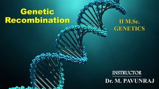 Genetic
Recombination II M.Sc.
GENETICS
Dr. M. PAVUNRAJ
INSTRUCTOR
 