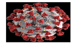 Genetic recombination in bacteria