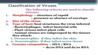 Genetic recombination in bacteria