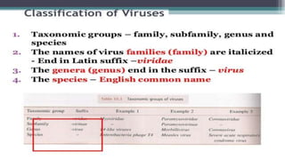 Genetic recombination in bacteria