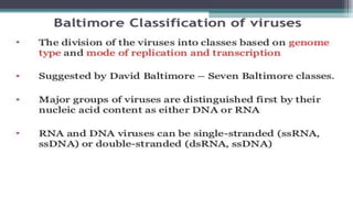 Genetic recombination in bacteria