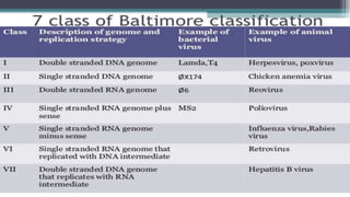 Genetic recombination in bacteria