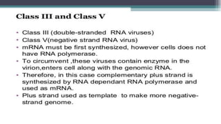Genetic recombination in bacteria