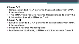 Genetic recombination in bacteria